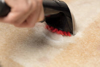 BISSELL Spotclean Pet