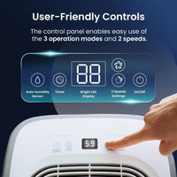 Cosi Home 12L/Day Dehumidifier