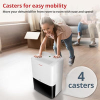 12L/Day Dehumidifier Inventor Fresh, Silent