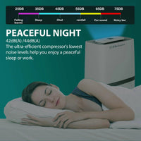 Belaco 20L/Day Dehumidifier, Portable Dehumidifiers for Home